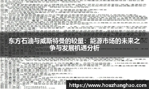 东方石油与威斯特曼的较量：能源市场的未来之争与发展机遇分析